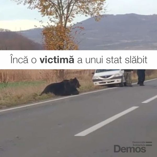 FB_IMG_1575268896572